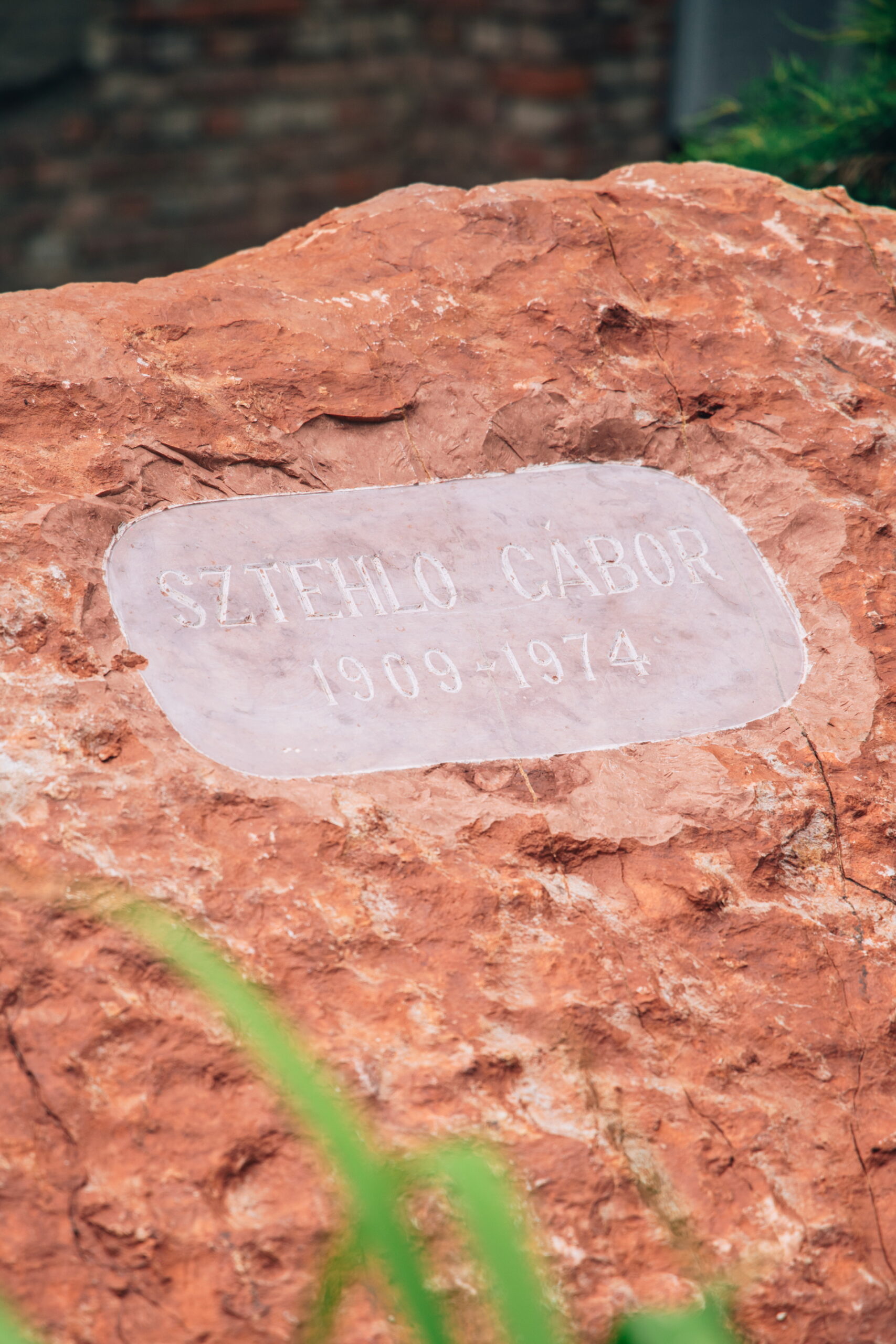 Sztehlo Gábor Emlékév 2024 Vöröskereszt Budapest